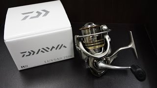 Daiwa luvias 2506