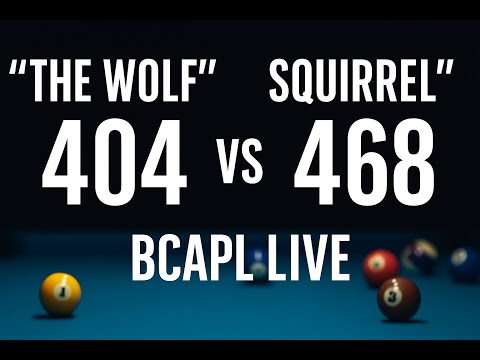 The Wolf vs Squirrel | BCAPL Live