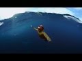 GoPro VR Diving With A Blue Whale