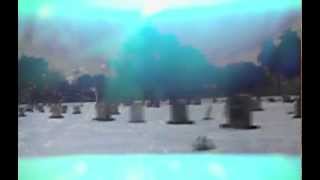 Lady Lazarus - Gleam (Official Video)