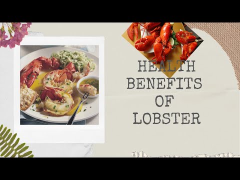 download lagu mp3 mp4 Is Lobster Healthy, download lagu Is Lobster Healthy gratis, unduh video klip Is Lobster Healthy
