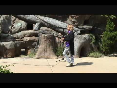 Promotional video thumbnail 3 for (Nearly) Rod Stewart