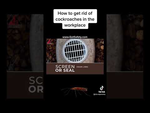 職場のゴキブリを駆除する方法！ #ゴキブリ #ゴキブリ #ゴキブリ