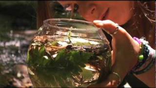 This Is The Way - Devendra Banhart