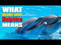 What Do Dolphins Mean In Dreams? - Dreams about Dolphins Interpretation and Meaning