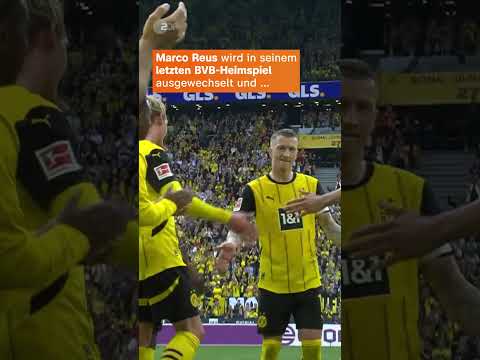 Ein ganz besonderer Moment in der 82. Minute! 🫶 | sportstudio | #shorts