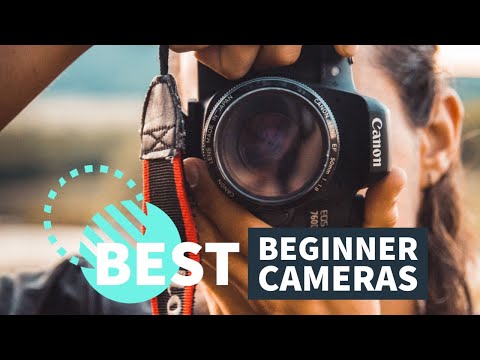 Best Beginner Cameras in 2023 - Olympus & Sony & Nikon & Canon - Which one is best?
