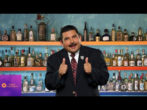 8 things you didn’t know about Guillermo 🇲🇽 (Part 1) Jimmy Kimmel’s sidekick, revealed!