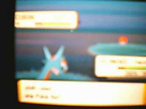 how to catch Cubone on Route 203! Pokemon pearl