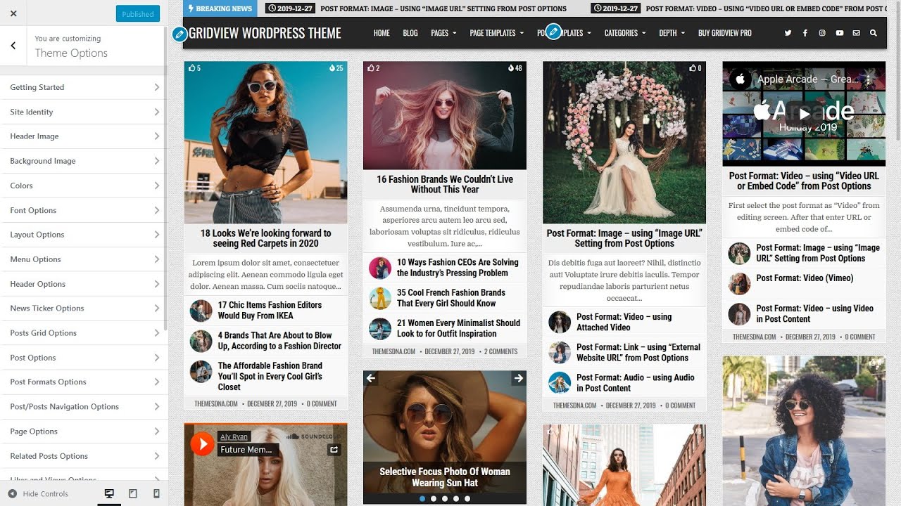 Customizer Theme Options   GridView PRO WordPress Theme