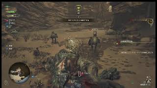【MHW】 2ZROでモンスターハンターワイルズ～はじめてのモンハン～その１ 【PS5】ゲハ戦争に終止符を。