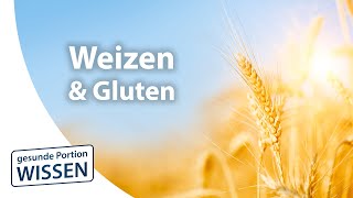 Darmbeschwerden mit Weizen? - Gluten ist SELTEN die Ursache