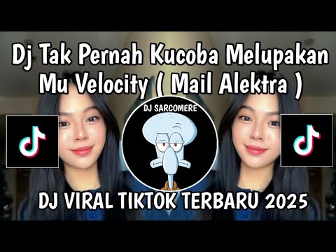 DJ TAK PERNAH KU COBA MELUPAKANMU VELOCITY | DJ DIMANA HATIMU MAIL ALEKTRA VIRAL TIKTOK TERBARU 2025