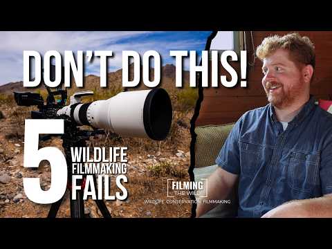 What Nobody Tells Beginners in Wildlife Filmmaking