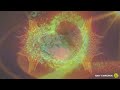 Culture – Dub Shine Bright | Roots Reggae Dub Vibes