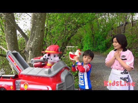 ニワトリに逃げられたー！！ねみちゃんを助けるぞ！