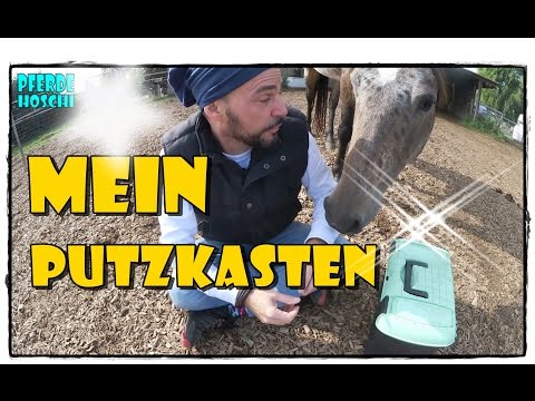 was ist in meinem Putzkasten | Pferde Hoschi
