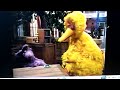 Big Bad Wolf Crying From Sesame Street Pitched 12