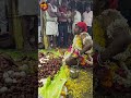 ஊட்டுப்படைப்பு சுடலை மாடன் பூஜை சாமக