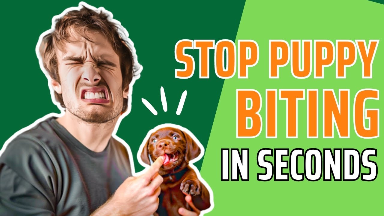 How to Stop Puppy Biting  |  Quick Stops in Seconds