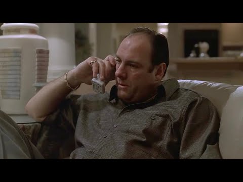 Sopranos - The Witness who saw Tony Soprano whack Matthew Bevilaqua