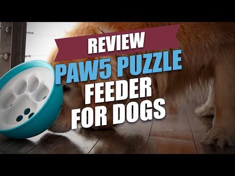 PAW5 Puzzle Feeder for Dogs Review