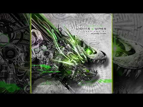 Spectra Sonics & Transient Disorder - Values of Humanity