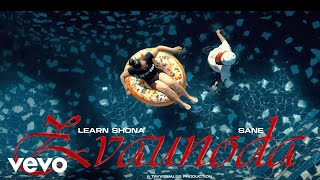 Video thumbnail image