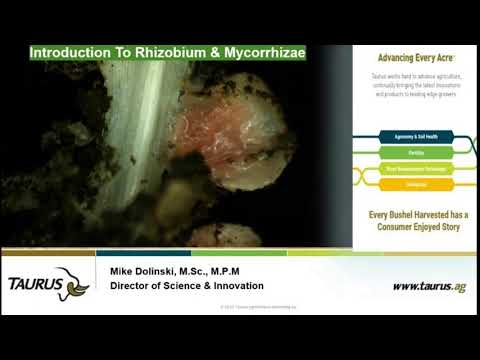 Introduction to Rhizobium & Mycorrhizae with Mike Dolinski