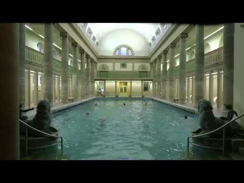 Gesund wie ein Fisch im Wasser