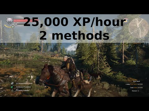 Witcher 3 – 25.000 EP pro Stunde – 2 Methoden