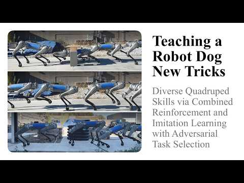Apprendre de nouveaux tours à un chien robot : compétences variées de quadrupède par apprentissage par renforcement et par imitation combinés, avec sélection adverse des tâches