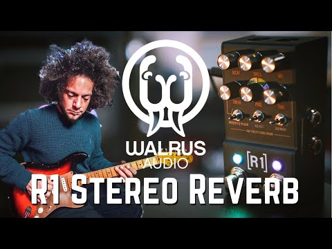 Walrus Audio Mako R1 High-Fidelity Reverb image 8