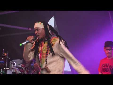 Nature Ellis - World Peace - Revolution - Trying Man