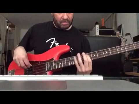 1st look at the Digitech Bass Synth Wah