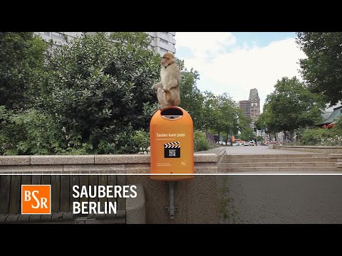 Sauberkeitsfilm BSR - Affe