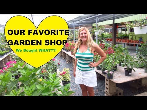 Where we get Exotic Plants: Favorite Garden Store in Puerto Rico: Jardines Eneida