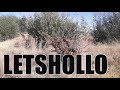 Three StoudFriends Sotho Short Film