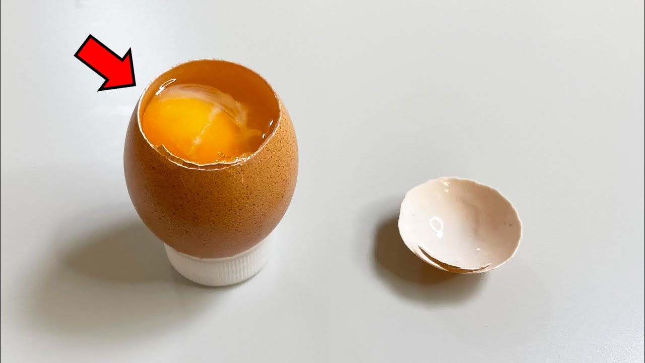 당신이 달걀에서 보지 못한 것들 - 달걀 해부