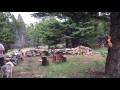 The old ways
