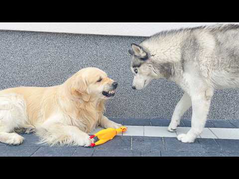YouTube 썸네일