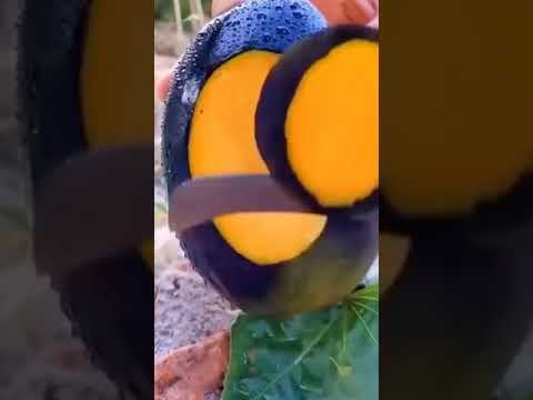 🍎🍐🍊🍋🍌🍉🍑🍒🍈🍓🍇guess the fruit name please comment box # shorts #fruits