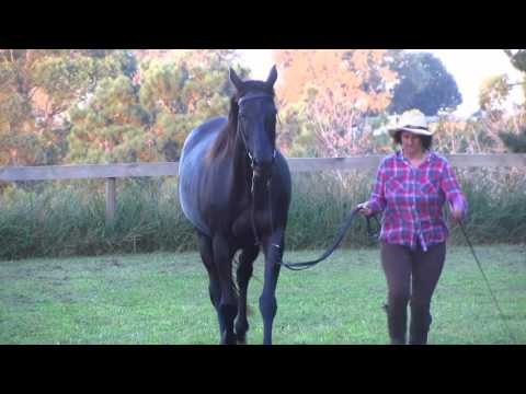 Chica SOM 05_03_16 STRAIGHT