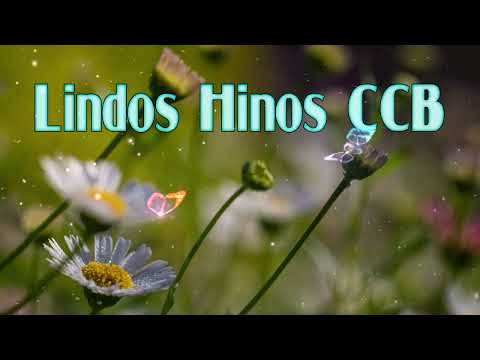 LINDOS HINOS CCB CANTADOS 193, 01, 118, 129, 185, 191, 220, 256, 323, 329, 349, 379, 399