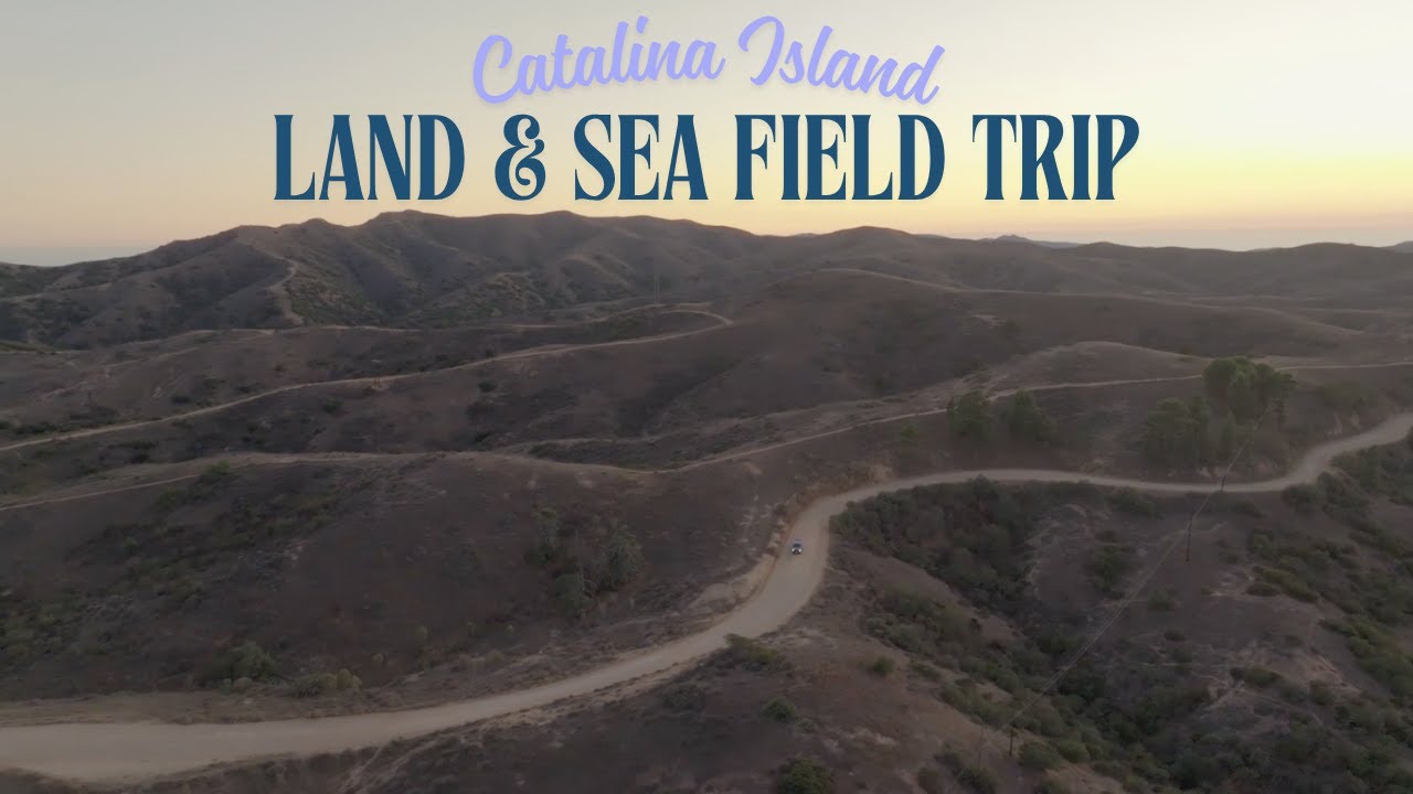 Siswa Sekolah Marseille Selami Ekosistem Laut Frioul Menggunakan Akvaskop