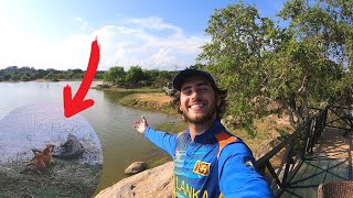 $200 Luxury Safari Hotel (DOG vs CROCODILE!) 🇱🇰