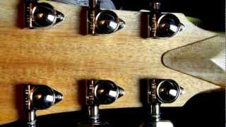 Video thumbnail for Cole Clark Fat Lady Acoustic Guitar FL1 - Demo #2 by intheblues