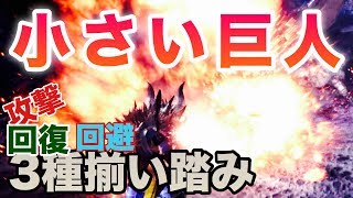 【モンハンワールド】視聴者装備がえげつない装備だった…あのイベクエも五分針クリア！【MHW】【ライトボウガン装備紹介】