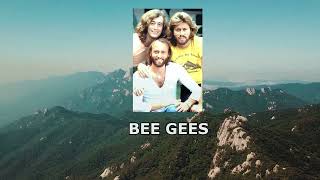 История забытой песни Bee Gees: I Can Bring Love