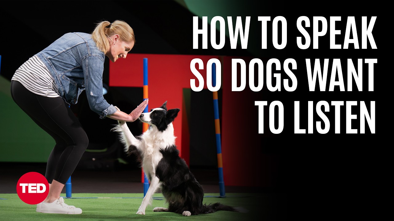 How to Communicate with Your Dog, from a Westminster Champion | Jennifer Crank | TED